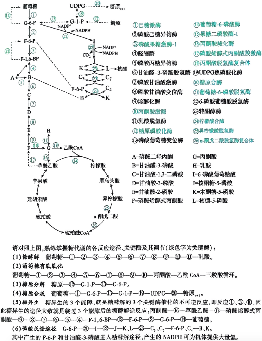 image-20250718121950100