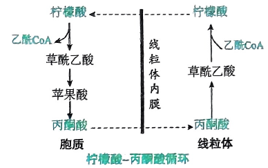 image-20250718193049162