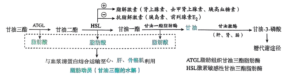 image-20250718193758068