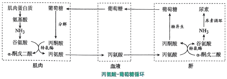 image-20250720170359353