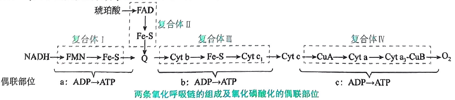 image-20250720180248301