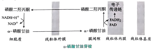 image-20250720202343176