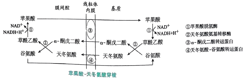 image-20250720202523971