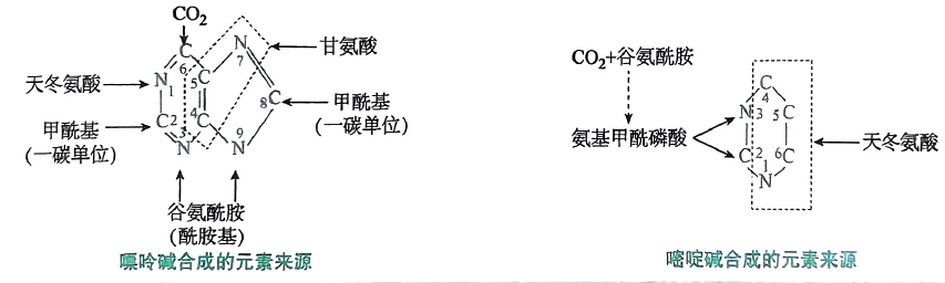 image-20250720203838247