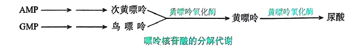 image-20250720204218723