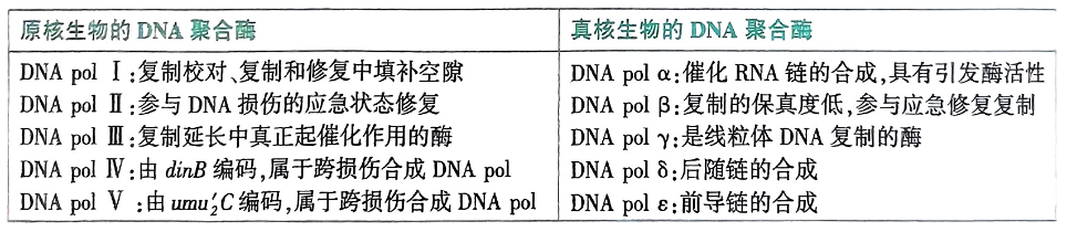 image-20250721105229686