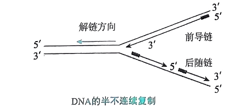 image-20250721105654949