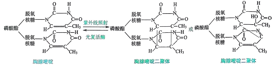 image-20250721105757070