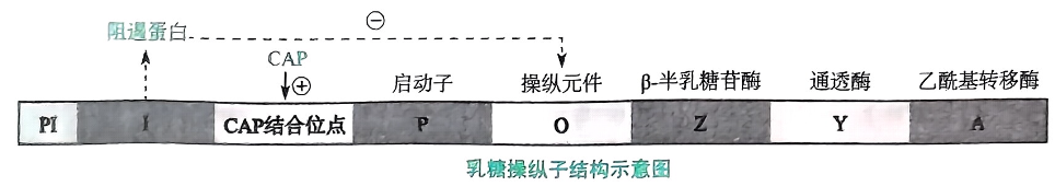 image-20250721110432566