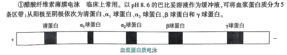 image-20250724212736107