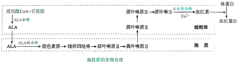 image-20250724213154905