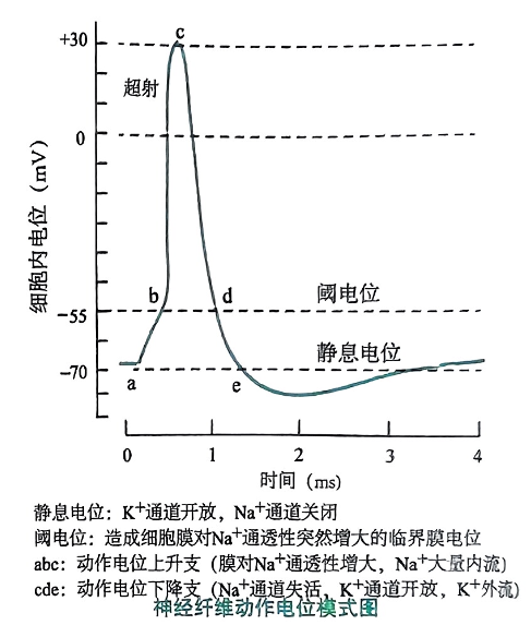 image-20250724220926998