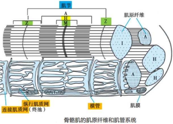 image-20250726175415511