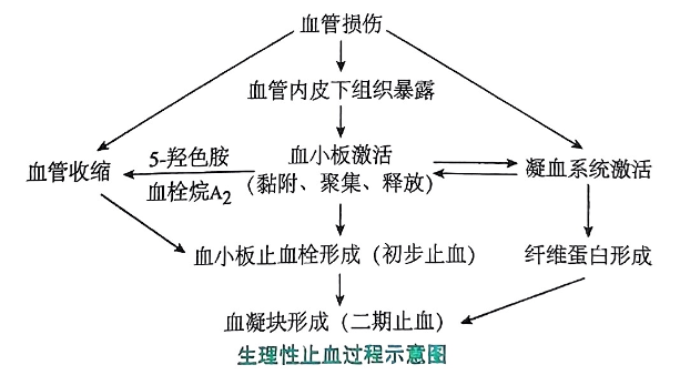 image-20250726183030764