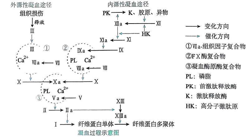 image-20250726183623475