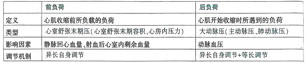 image-20250726203230196