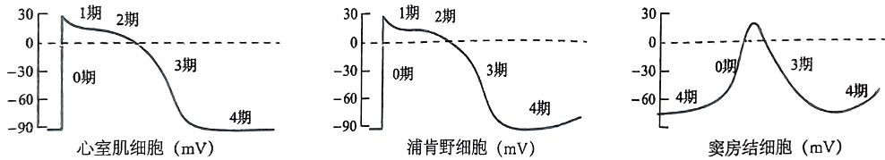 image-20250726215927513