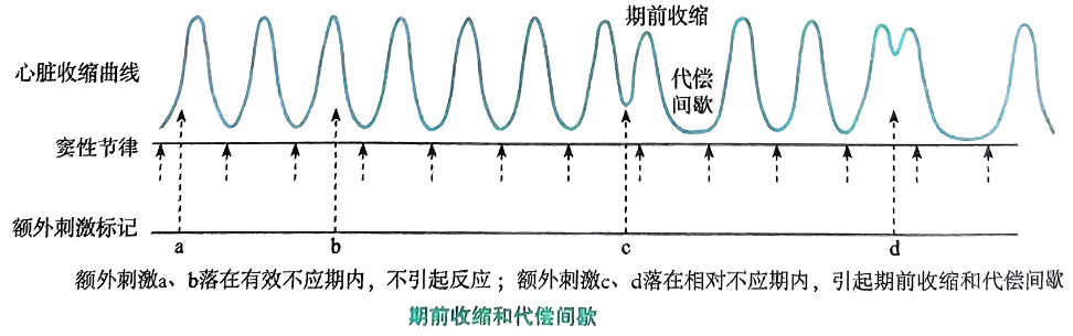 image-20250726220440222