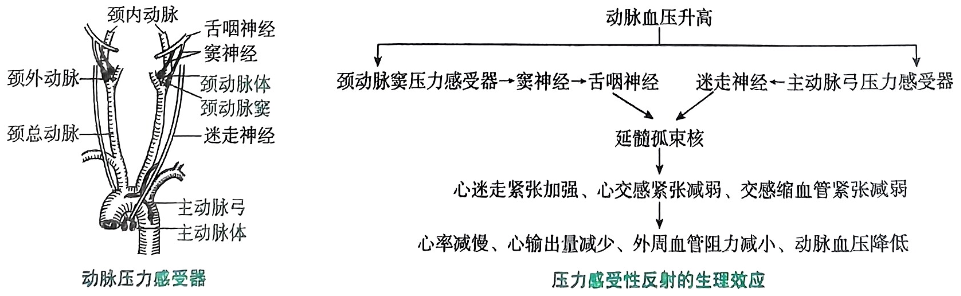 image-20250726222630486