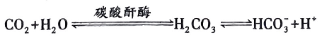 image-20250727082511364
