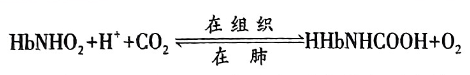 image-20250727082630236
