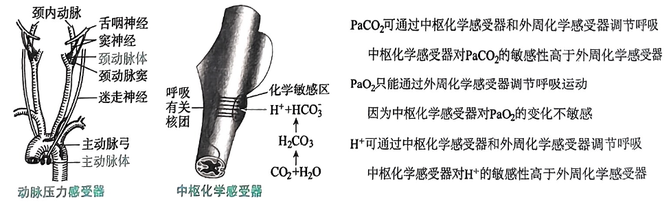 image-20250727083334344