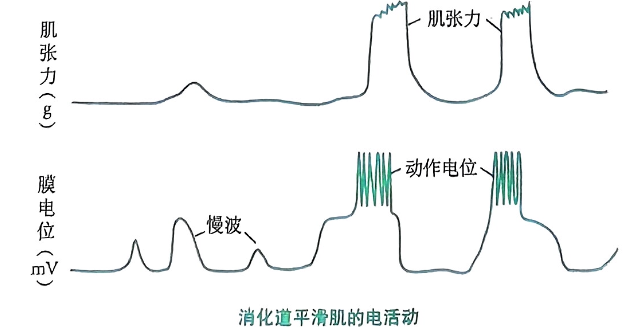 image-20250727124007939