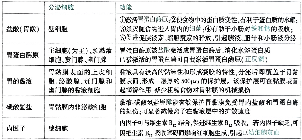 image-20250728114908699.png