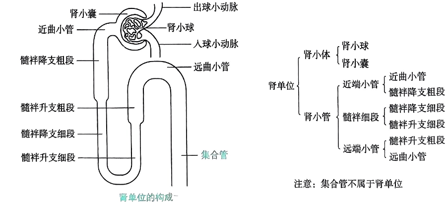 image-20250730204537222