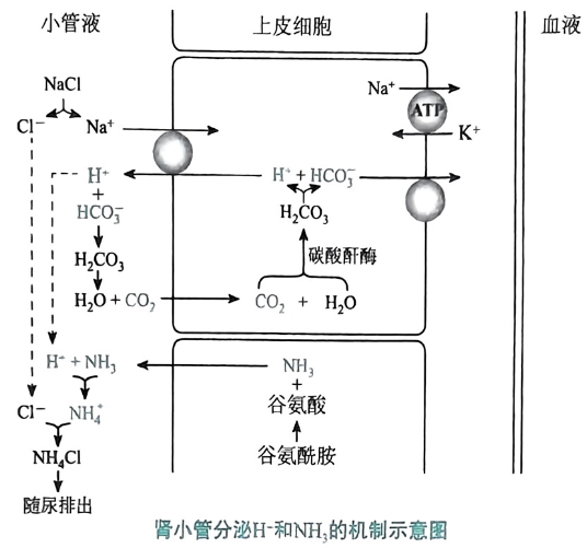image-20250730205817262