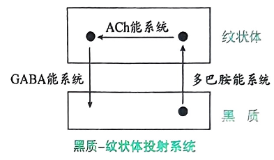 image-20250730224234055