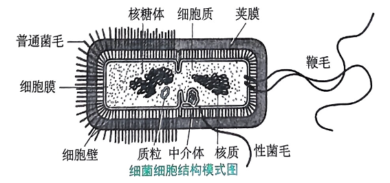image-20250802185735164