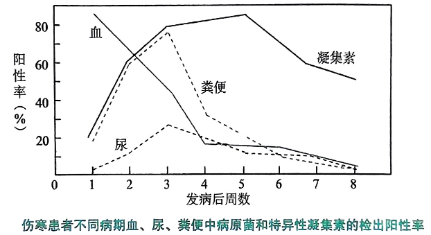 image-20250802211221677