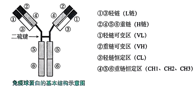 image-20250805221341111