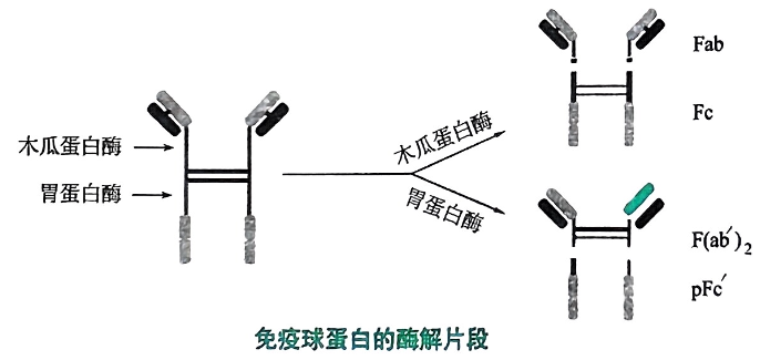 image-20250805221500038