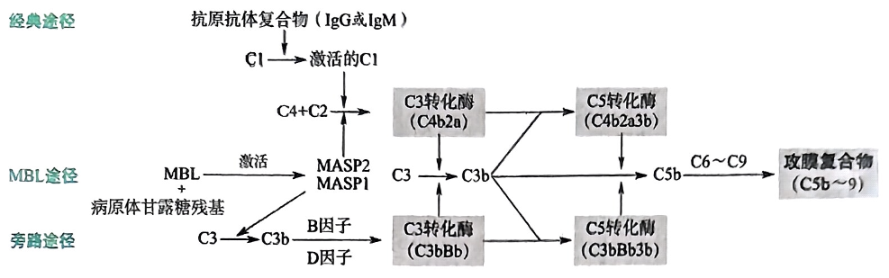 image-20250805224533151