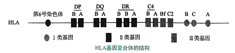 image-20250806220657576
