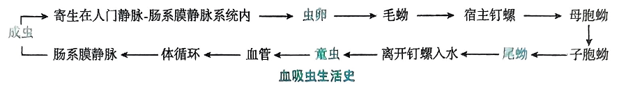 image-20250810210343583