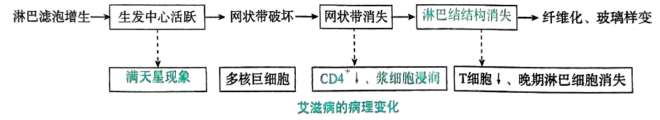 image-20250810211639100