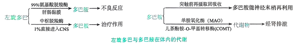 image-20250811213446604