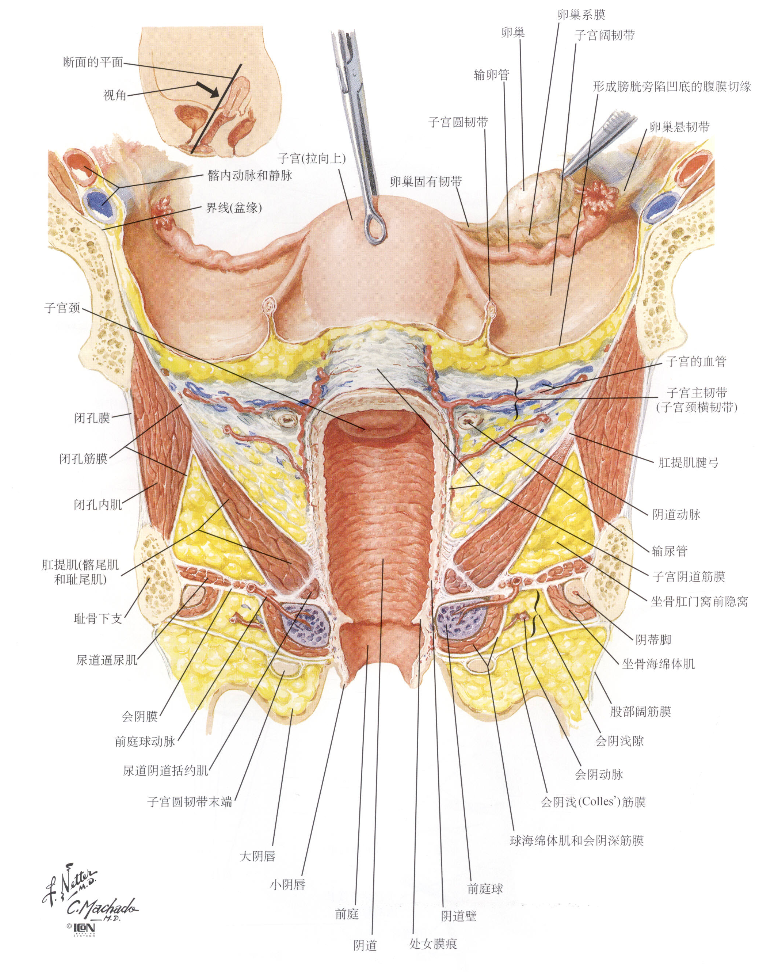 image-20250814193708806