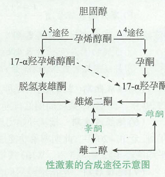 image-20250814200352622