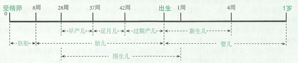 image-20250814205353831