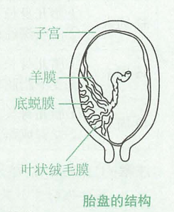 image-20250814210541187