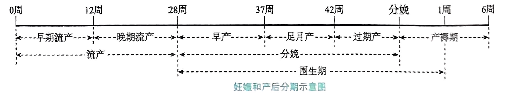 image-20250815200920749