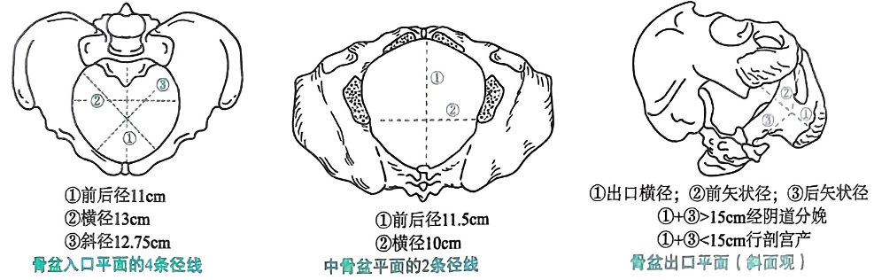 image-20250816180216188