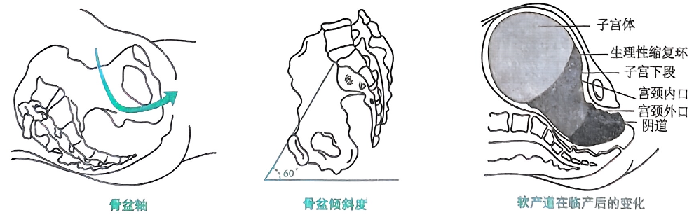 image-20250816180658051