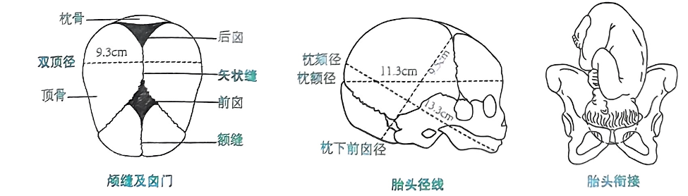 image-20250816180919549