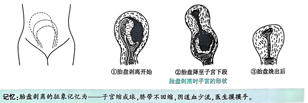 image-20250816194448328