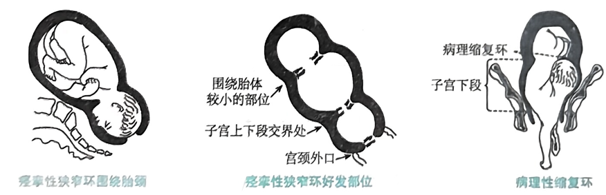 image-20250816211048142